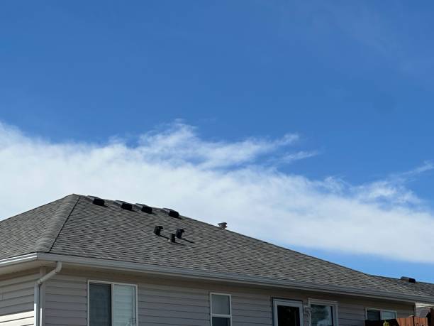 Best Solar Panel Roofing Installation  in Seagraves, TX